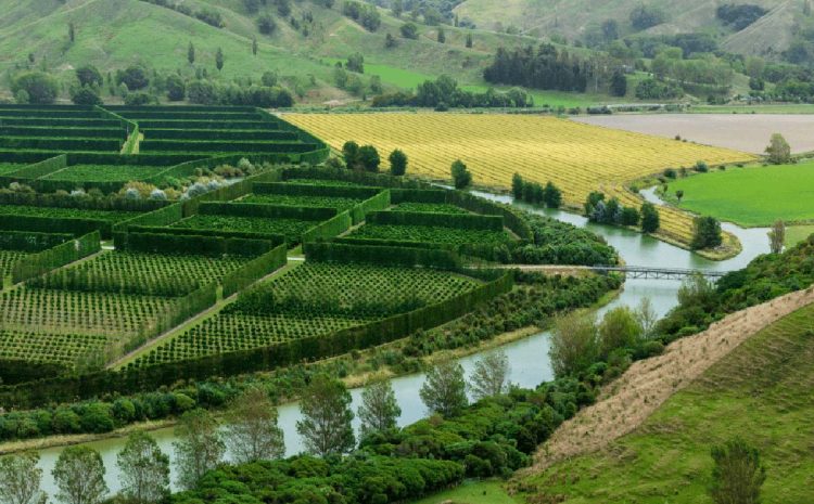  REDDITIVITÀ, COMPETITIVITÀ E SOSTENIBILITÀ DELLE AZIENDE AGRICOLE