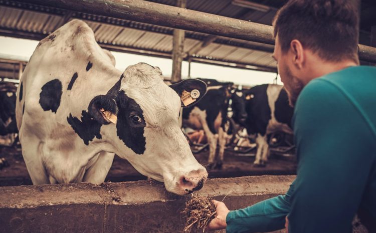  EMISSIONI PRODOTTE DALLE ATTIVITÀ AGRICOLE